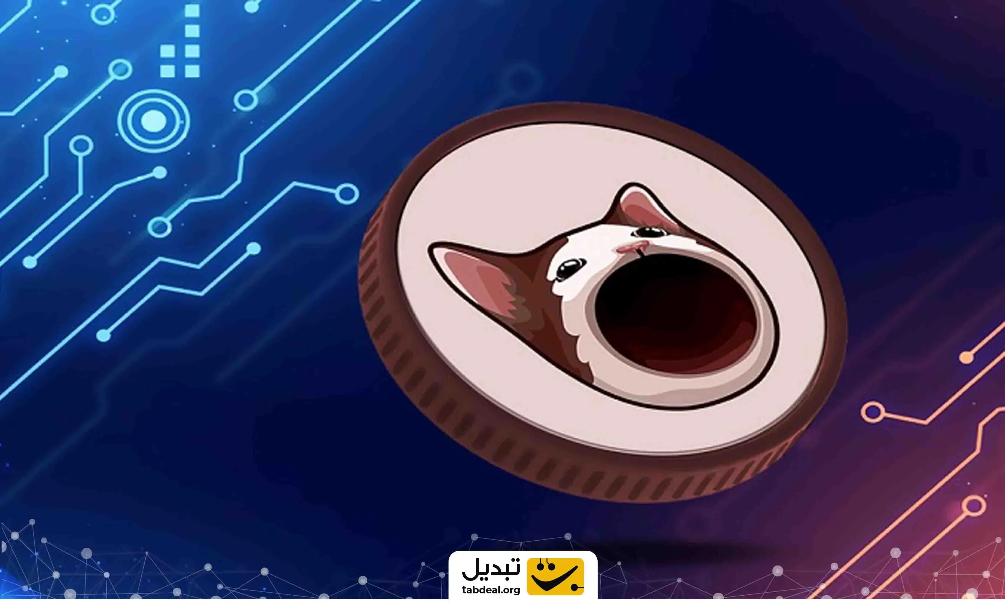 خرید  پاپ کت