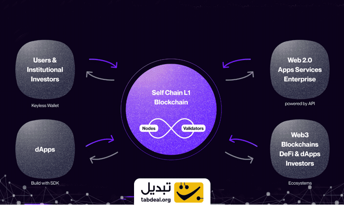 قیمت سلف چین