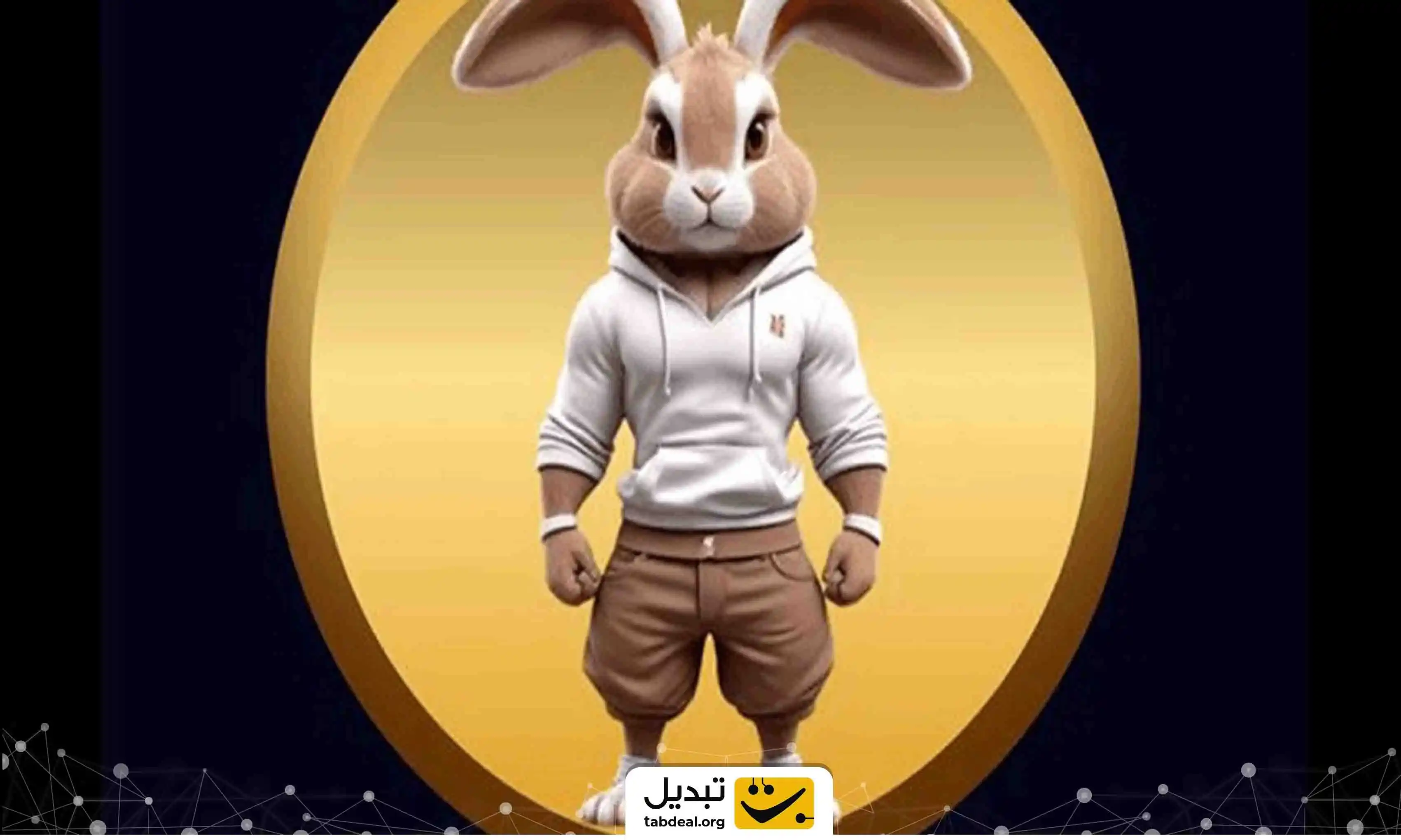 فروش ارز راکی ربیت