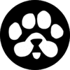 ارز دیجیتال PAWS