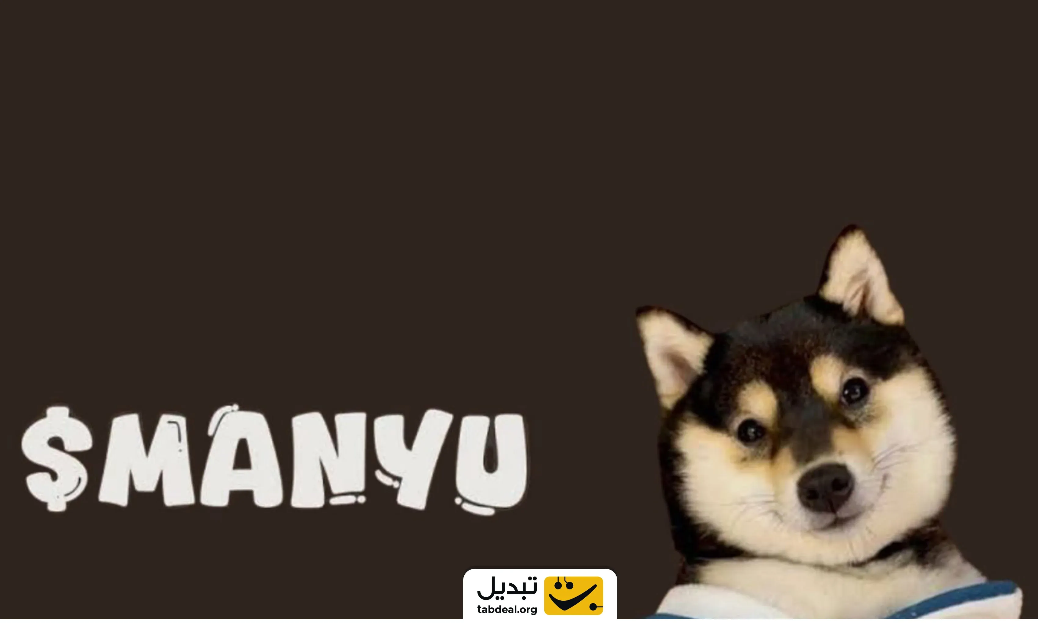 مانیو-چیست.webp