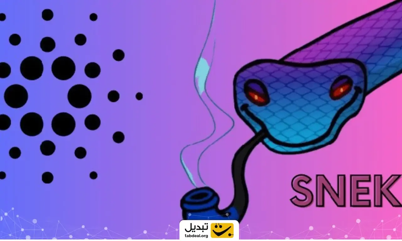 معرفی ارز اسنک.webp