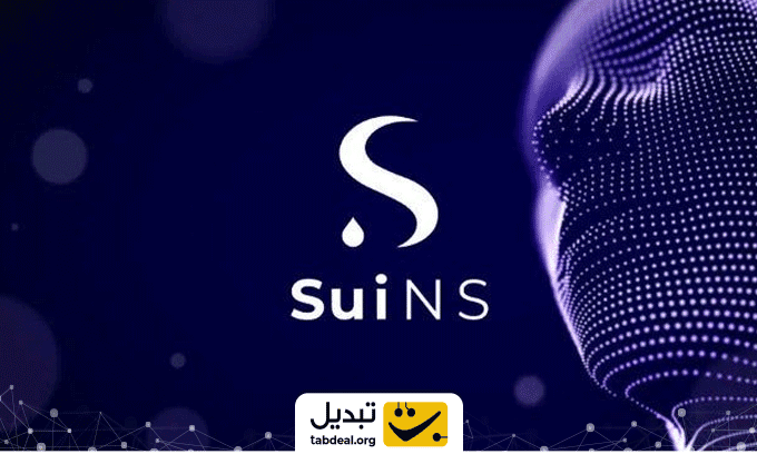 معرفی-ارز-سویی-نیم-سرویس