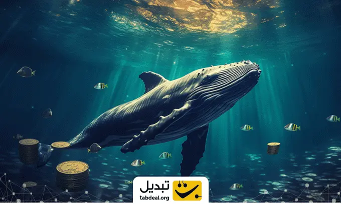 نهنگ-ارز-ای-آی-16-زد.webp