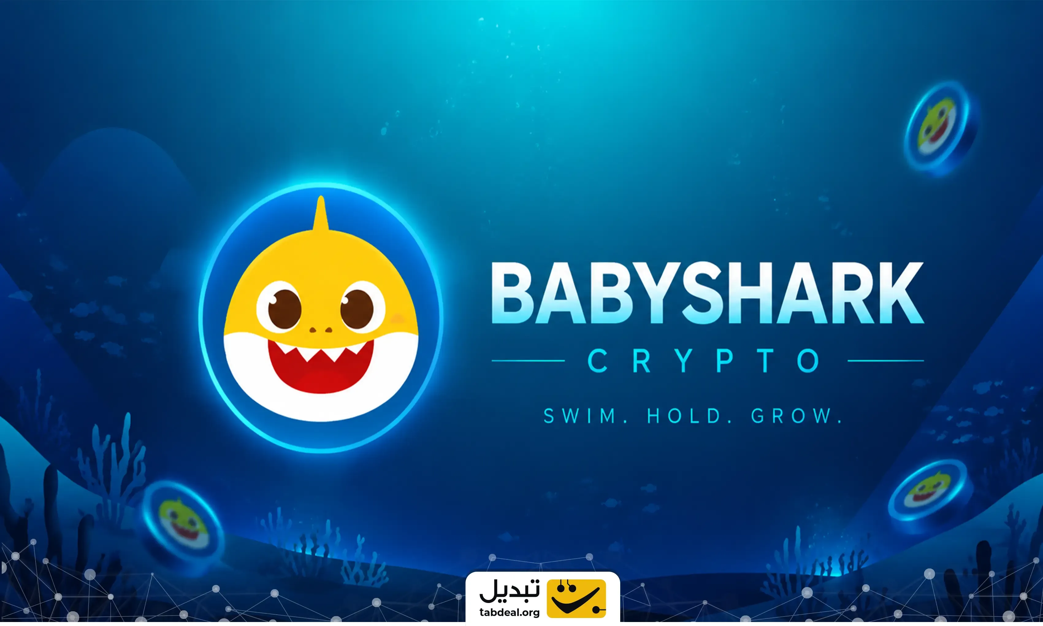قیمت ارز بیبی شارک